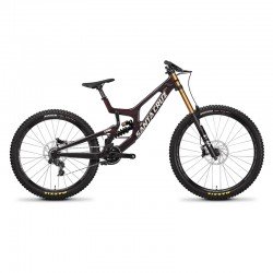 ROWER SANTA CRUZ V10 7 CC MX DH X01 OXBLOOD M