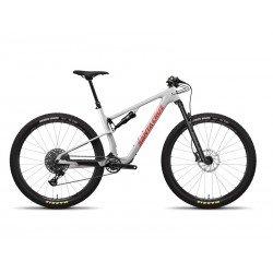 ROWER SANTA CRUZ BLUR 4 C 29 24 R TRAIL MATTE SILVER L